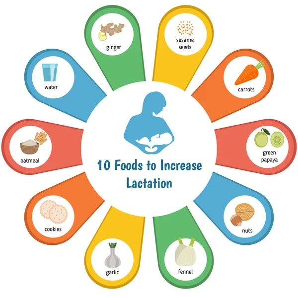 Alimentos para aumentar la lactancia — Vector de stock