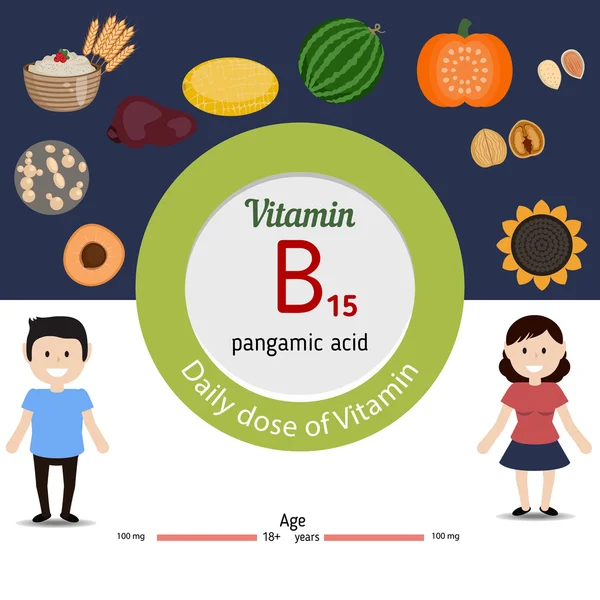 Infográfico de vitamina B15 —  Vetores de Stock