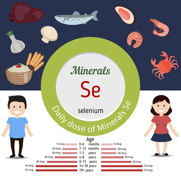 Minerales Infografía Se — Archivo Imágenes Vectoriales