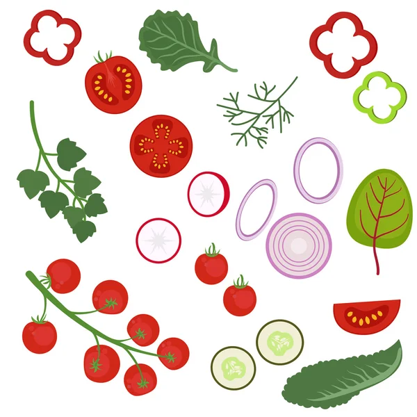 Salata malzemeleri — Stok Vektör