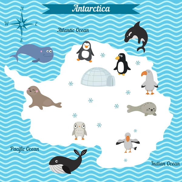 Cartoon kaart van Antarctica continent met verschillende dieren. — Stockvector