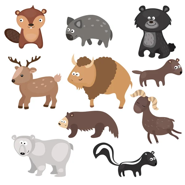 Conjunto vectorial de diferentes animales de América del Norte . — Vector de stock