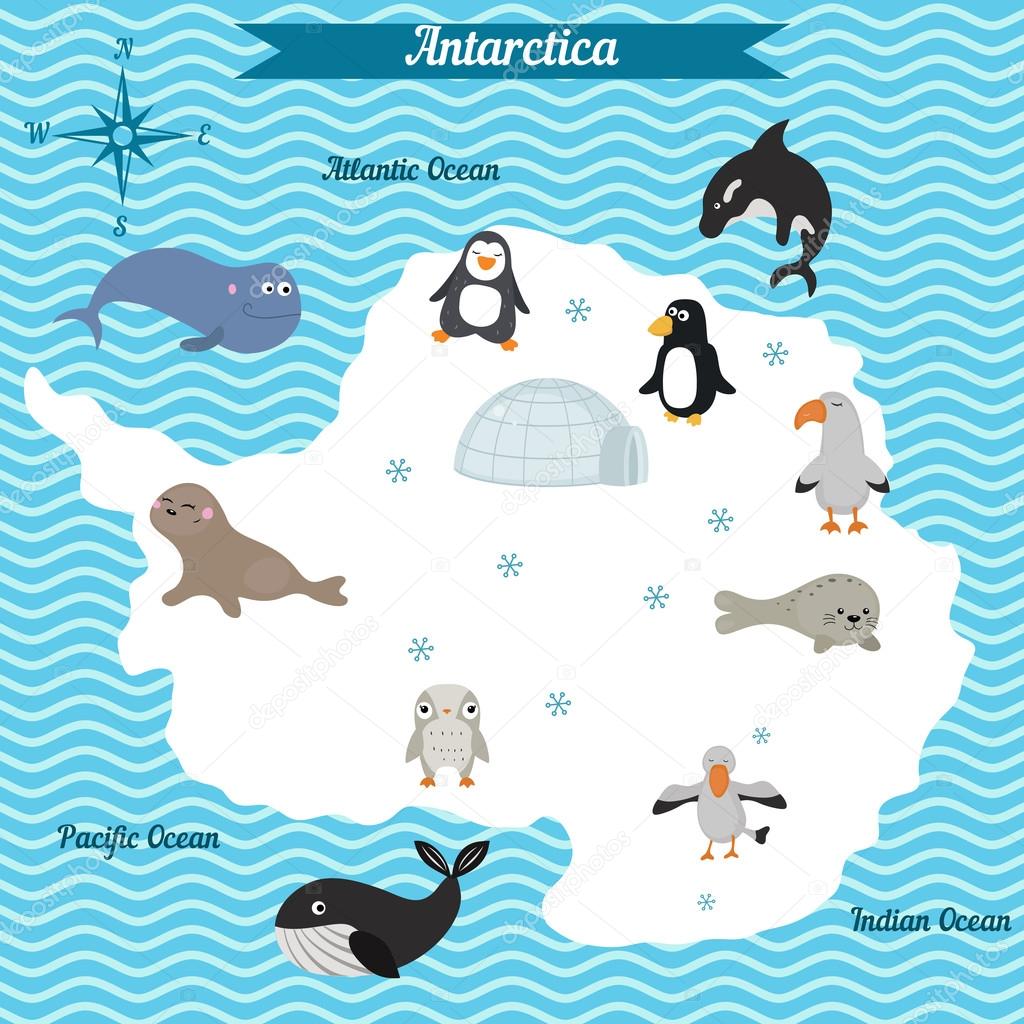 Cartoon map of Antarctica continent with different animals.