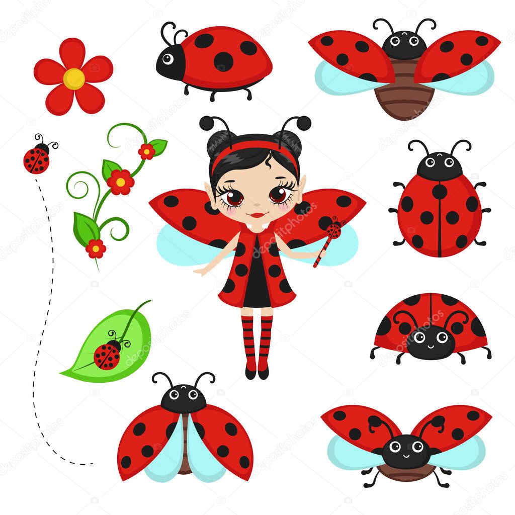 Fairy in ladybug costume with ladybug characters. Vector illustration.