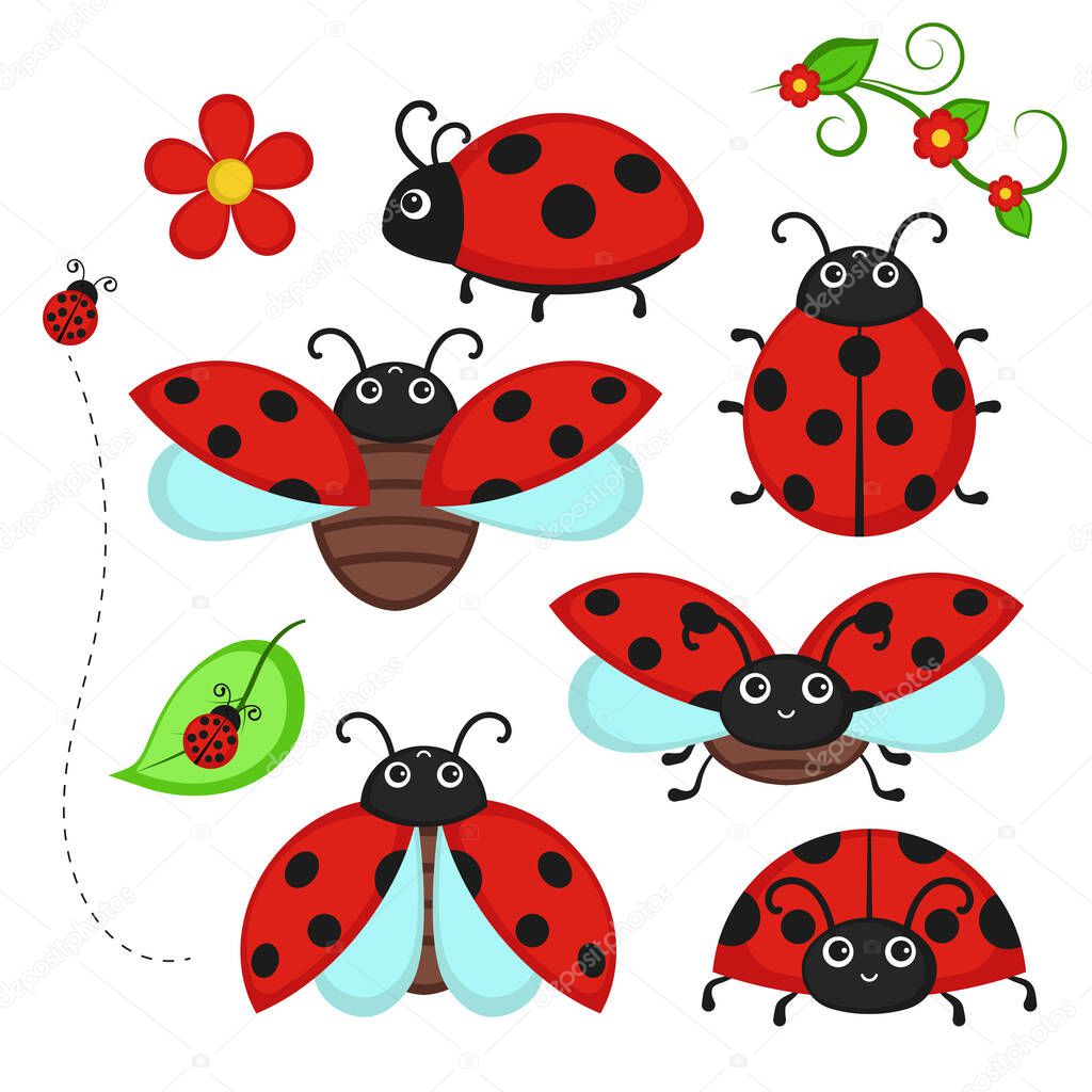 Set of ladybug characters isolated on white. Vector illustration.