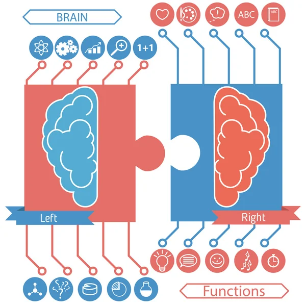 Концепция функций мозга слева и справа — стоковый вектор