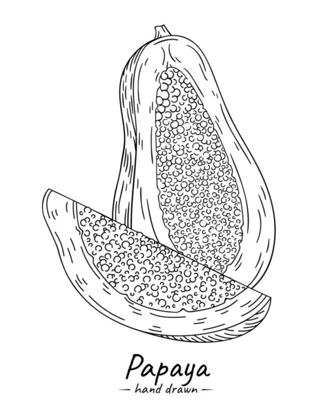 Εξωτικά Φρούτα Papaya Εικόνα Εικονιδίων Που Απομονώνεται Λευκό Φόντο — Διανυσματικό Αρχείο