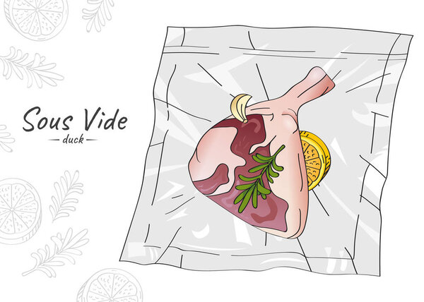 Vector hand drawn sketch illustration of raw duck leg with spices and lemon vacuum packed. Sous-Vide Slow Cooking Technology.