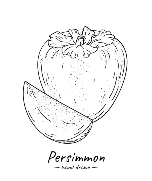 Μεμονωμένο Σκίτσο Τροπικών Φρούτων Persimmon Λευκό Φόντο — Διανυσματικό Αρχείο