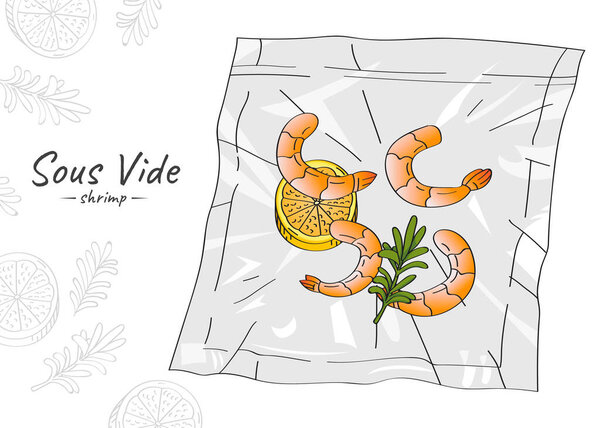 Vector hand drawn sketch illustration of shrimp with spices vacuum packed. Sous-Vide Slow Cooking Technology.