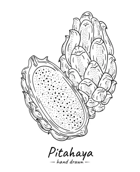 Εξωτικά Φρούτα Pitahaya Dragon Fruit Εικόνα Εικονιδίων Που Απομονώνεται Λευκό — Διανυσματικό Αρχείο