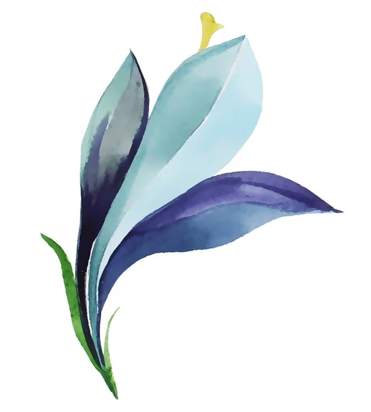 Синий Лиловый Цветок Пурпурно Голубых Тонах Белом Фоне Акварельная Техника — стоковое фото
