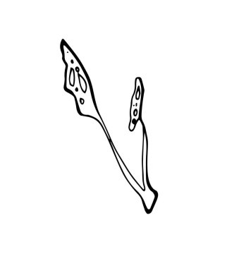 Bir çiçek elementinin vektör çizimi. Organik basit şekiller. Yapraklar, ot yaprakları ve tomurcukların ortası..