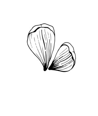 Bir çiçek elementinin vektör çizimi. Organik basit şekiller. Yapraklar, ot yaprakları ve tomurcukların ortası..