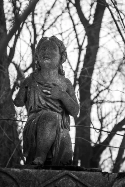 墓地の悲しい天使たち — ストック写真
