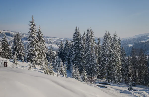 Paysage de montagne d'hiver — Photo