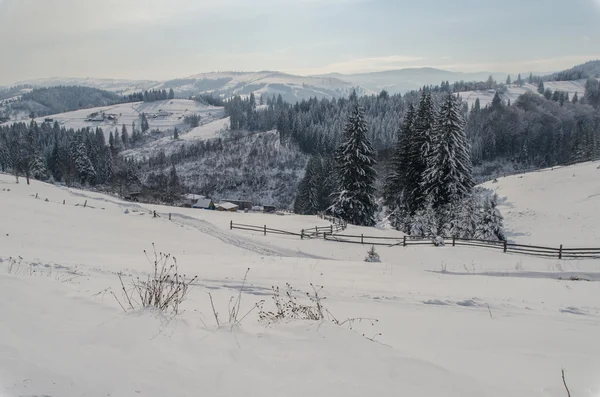 Zima w Karpatach — Zdjęcie stockowe