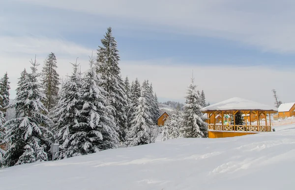 Ein Stück Wintermärchen in den Karpaten in der Ukraine — Stockfoto