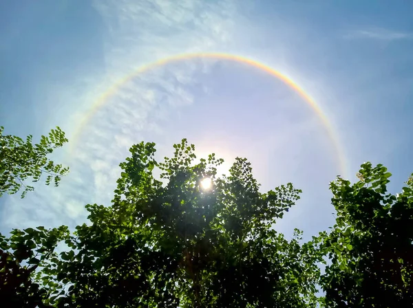 Halo Solaire Halo Solaire Derrière Arbre — Photo