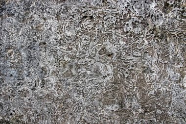 Eski beton duvarın yüzeyi