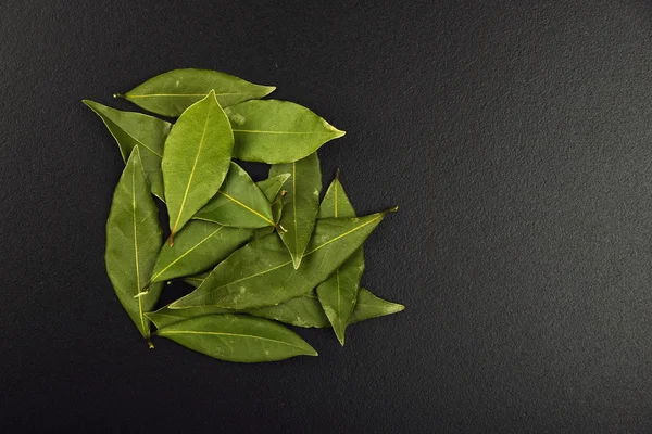 Gruppo di foglie di alloro sulla lavagna nera — Foto Stock