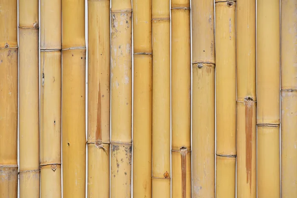 자연 노란 대나무 수직 시체 배경 — 스톡 사진