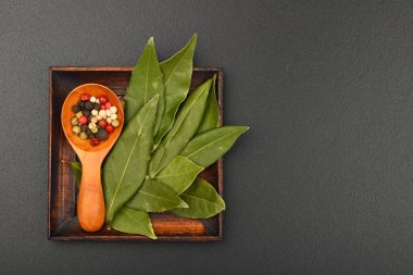 Defne yaprağı ve biber Siyah Kara tahta üzerinde