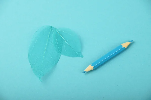 Pequeno lápis azul e folhas de esqueleto — Fotografia de Stock