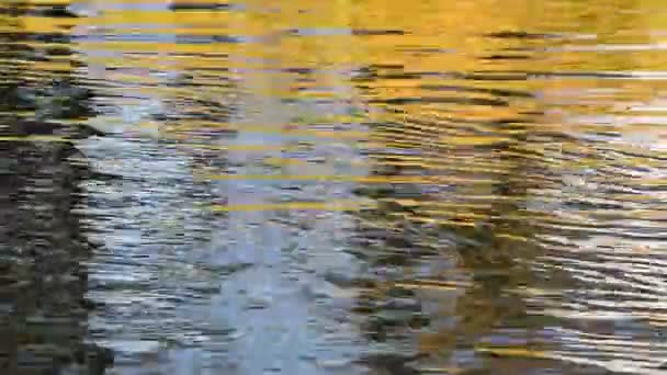 Pan van het runnen van geel en blauw rimpelingen op het water — Stockvideo