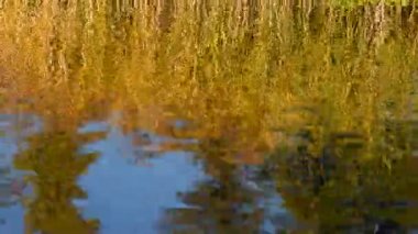 Koşma su yüzeyi üzerinde zikzak etkisi dalgaların