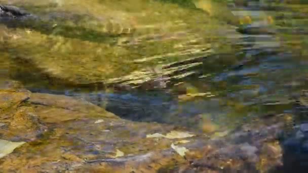Running colorful ripples on water surface with small rift — Stock Video