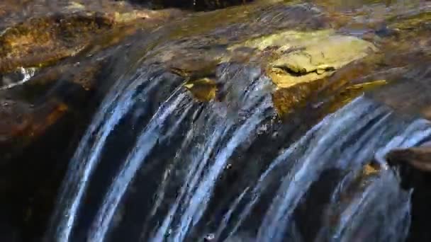 Brook strumienia wody z małych przepaść — Wideo stockowe