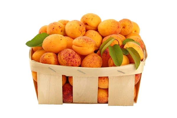 Abricots frais mûrs dans un panier en bois sur blanc — Photo