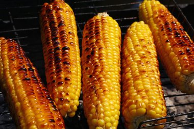 Pişmiş mısır koçanı Barbekü Izgara