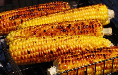 Pişmiş mısır koçanı Barbekü Izgara