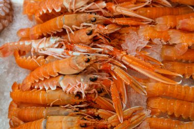 Perakende pazarında buzun üzerinde taze kırmızı langoustines (Nephrops norvegicus, Norveç ıstakozu, Dublin Körfezi karidesi veya karidesi) avını kapatın, yüksek açı görünümü