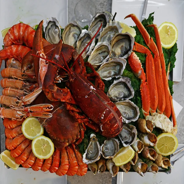 Close up large cold and raw seafood platter to share, lobsters, prawns
