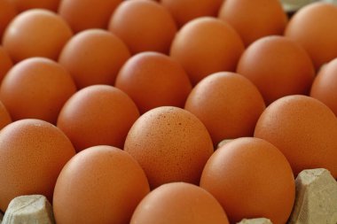 Close up many fresh brown chicken eggs in tray carton at retail display of farmers market, high angle view clipart