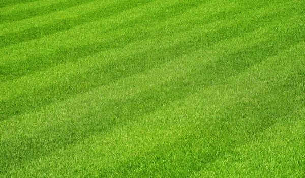 Green Fresh Grass Lawn Stripes Mow Football Field High Angle — Stock Photo, Image