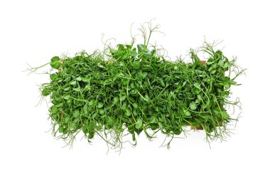 Close up fresh green peas microgreen sprouts in wooden box isolated on white background, elevated top view, directly above