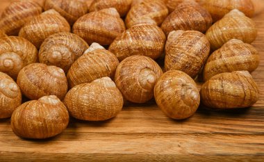 Close up two dozen of escargot land snail shells on brown oak wood cutting board background, high angle view