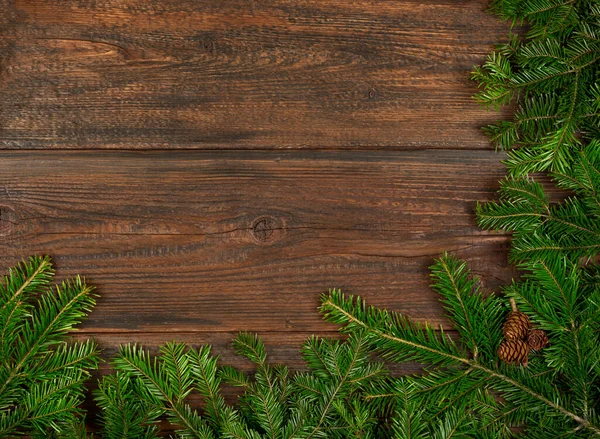 Close Fresh Green Spruce Pine Christmas Tree Branches Cones Dark — Fotografia de Stock