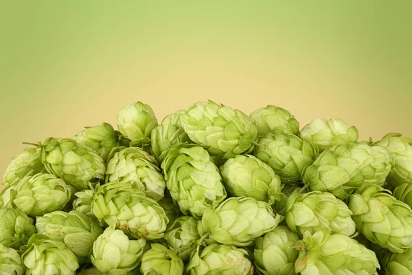 Nahaufnahme Haufen Frischer Grüner Hopfen Zutat Für Bier Oder Kräutermedizin — Stockfoto