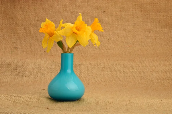 Dried-up yellow narcissus bouquet in a blue vase on background of jute cloth — Stock Photo, Image