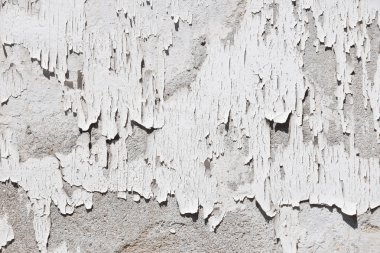 Vintage flakes of old white paint on grey concrete wall