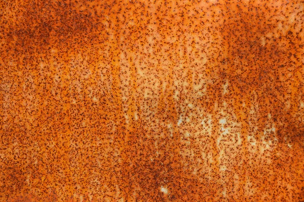 Bright rust stained corroded metal surface — Stock Photo, Image