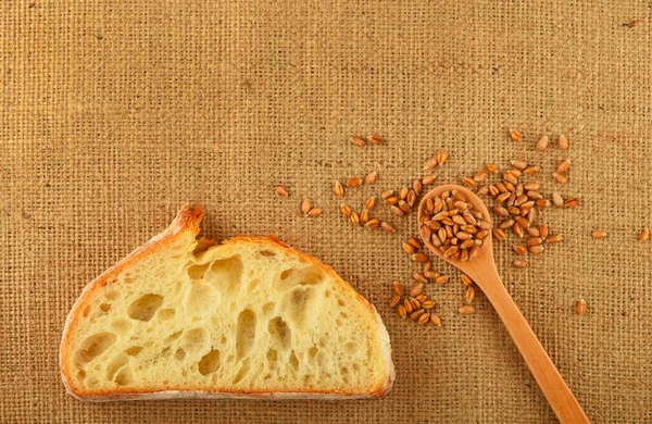 Canvas with slice of bread and ripe grains — Stock Photo, Image