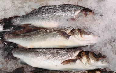 Freshly caught sea bass fish beautifully displayed on ice at a fish market, perfect for a delicious meal