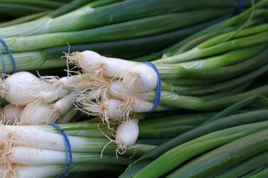Bir demet taze yeşil soğan, soğan ya da soğan çiftçi pazarı vitrininde, yakın çekim, yüksek açı