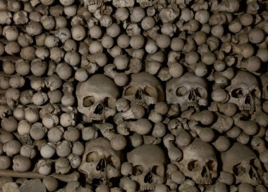 Eski insan kafataslarını ve kemiklerini düşük açılı görüş açısıyla kapatın.